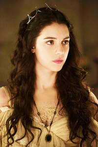 《王多鱼和博雅被C》